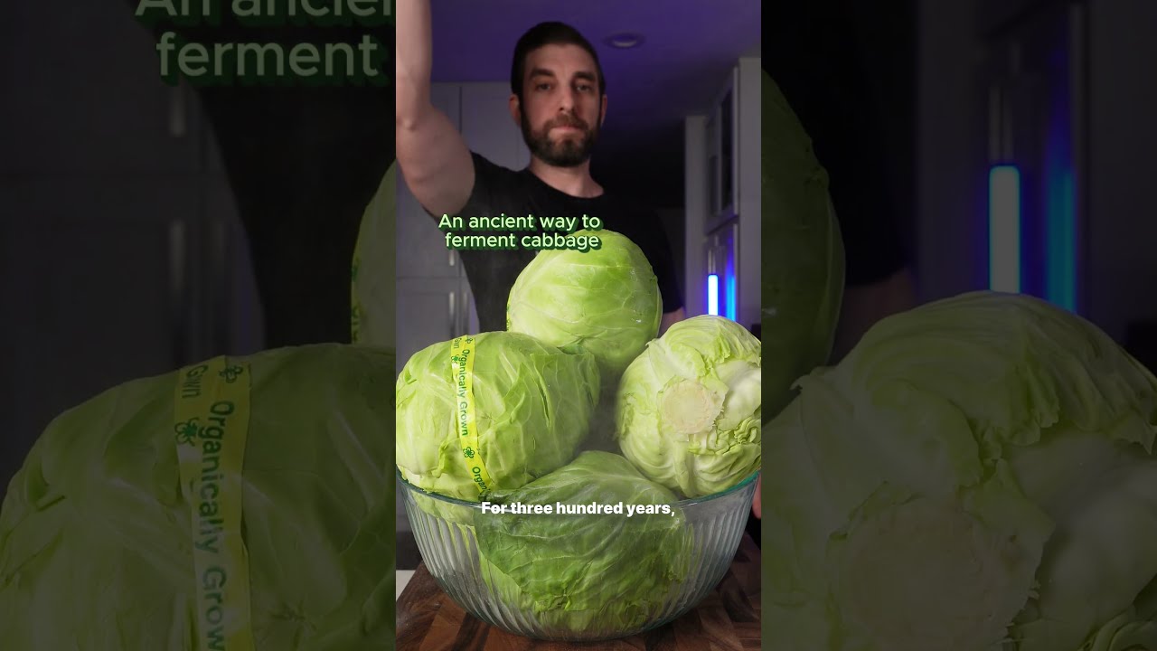 Why you should be fermenting your own vegetables #wellness #fermentation #food