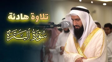 صلاة الفجر د.الشيخ حمزة معاذ تلاوة هادئة ما تيسر من سورة البقرة 8-5-1446 هـ