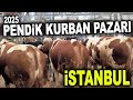 İSTANBUL PENDİK KURNAKÖY KURBAN PAZARI FİYATLARI 2025