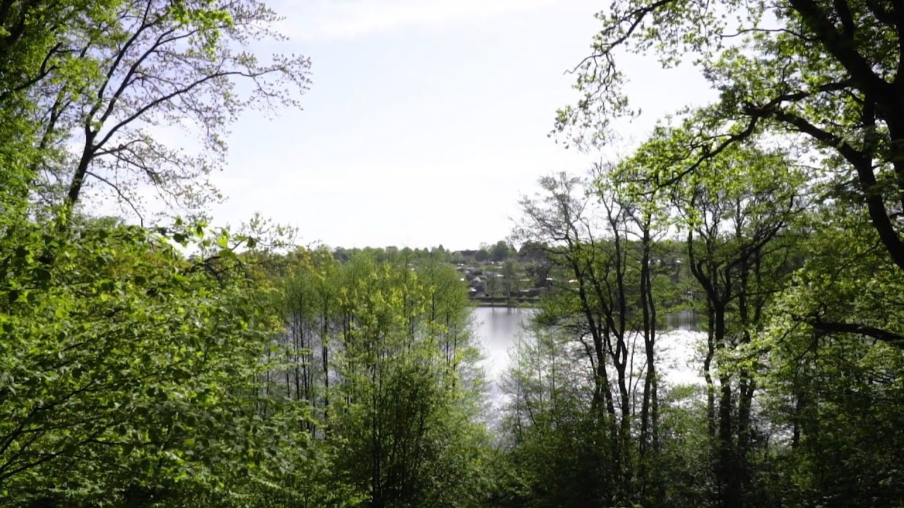 Harbuger Stadtpark mit Uwe Westphal