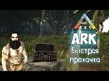 Быстрый старт прокачка персонажа на записках. Топовый гайд по игре  ARK: Survival Evolved.