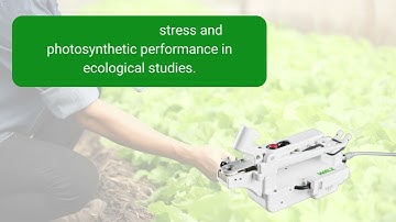 Video WALZ Mini PAM II Porometer