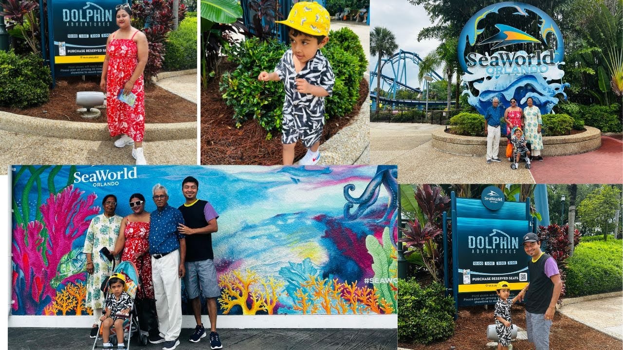 MUST WATCH DOLPHIN SHOW IN SEA WORLD !! DAY 5-6 IN FLORIDA !! VACATION DAYS VLOG !!🌊🐬💙