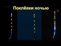 ПОЛНАЯ ВЕРСИЯ. Поклевки ночью на поплавок- светлячок, подводная съемка. Рыбалка fishing