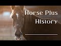 20 Years of Saving Horses