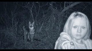 Top 15 Creepiest pics accidentally captured on trail cameras - Unsolved Secret