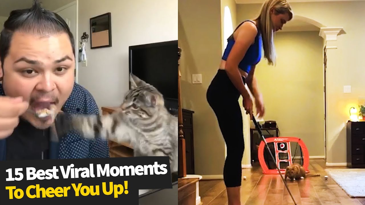 15 Best Viral Moments You NEED To Watch 😂😍 Try Not To Laugh YouTube