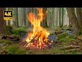 4K Feu De Camp Printanier En Forêt Sons Du Chant Des Oiseaux Du Ruisseau Et Du Crépitement Du Feu 4K Feu De Camp Printanier En Forêt Sons Du Chant Des Oiseaux Du Ruisseau Et Du Crépitement Du Feu