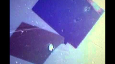 Eutectic growth in the pyrene paradibromobenzene system