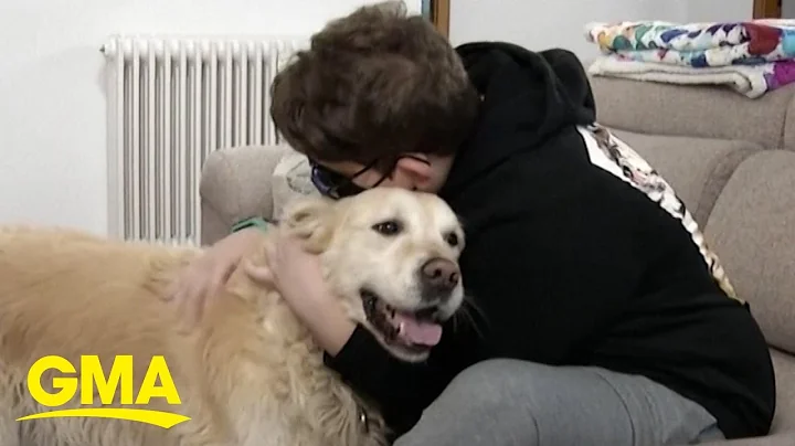 Therapy dogs comfort special needs students during COVID-19