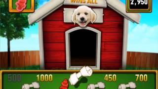 PAWPALOOZA Video Slot Game with a DOG HOUSE BONUS screenshot 3