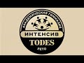 TODES АКАДЕМИЧЕСКАЯ ГИМНАЗИЯ ИНТЕНСИВ