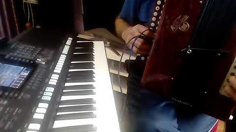 Миди-гармонь на базе  Arduino-Nano синтезатор Yamaha PSR S 950.