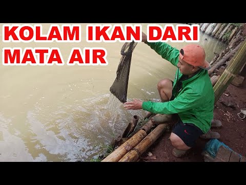 Video: Kolam Buatan Dalam Negeri