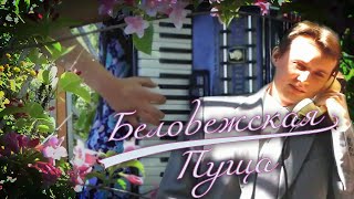 Беловежская пуща 🌺(короткая инструментальная версия)🌺