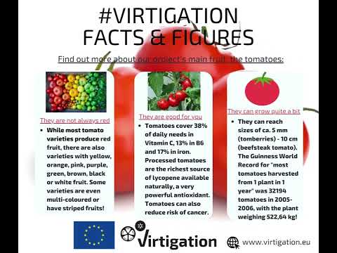 VIRTIGATION Facts and Figures series: Tomatoes VIRTIGATION Facts and Figures series: Tomatoes
