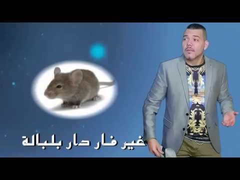 a4ani ma4ribiya a4ani ma4ribiya