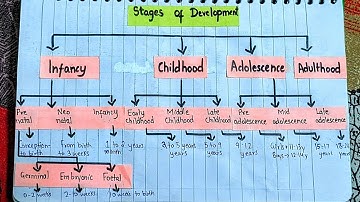 Stages of Development | The B.Ed. Notes | Paper 1 - Childhood & Growing Up by Train the Teacher