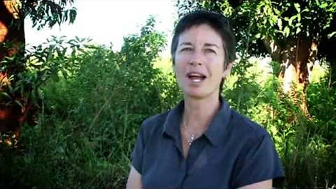 Tracy Evans - iReachAfrica Feeds & Educates Childr...