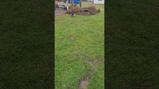 Rascal Gets The Barkies1