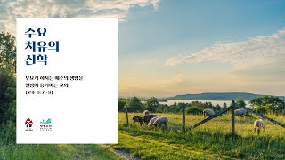 [수요치유의 신학] 앉은뱅이가 치유받은 기적 행 3:1-10 박영균 목사 2023.12.6