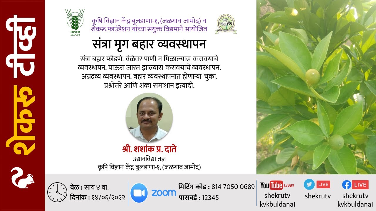 संत्रा मृग बहार व्यवस्थापन