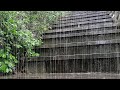 Dense Heavy Rain and Thunder Pouring Down the Terraced Path Up the Mountain & Forest to Sleep