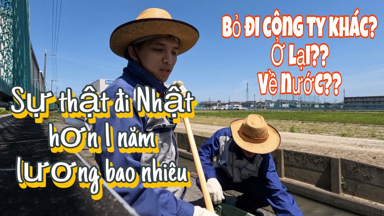 Hàng đầu: 9 Công ty Xuất khẩu Lao động tại Khánh Hòa được người lao động tin tưởng