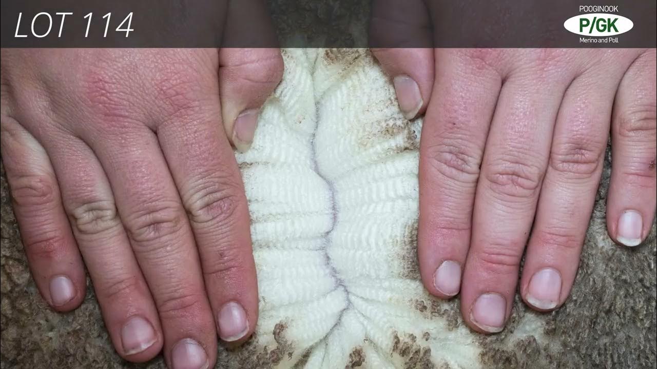 PGK LOT 114 - YouTube