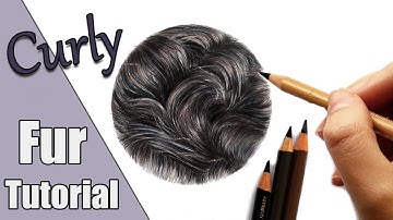 How to draw black curly fur in colored pencil!