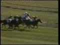 1980 William Hill Scottish National Handicap Chase - YouTube