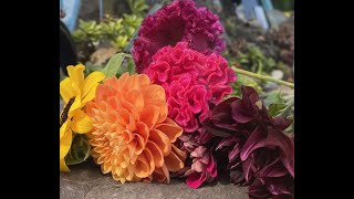 COVID memorial remembers Massachusetts loved ones who died during pandemic, offers space to grieve