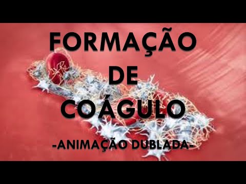 Vídeo: O que é fator de tromboquinase?