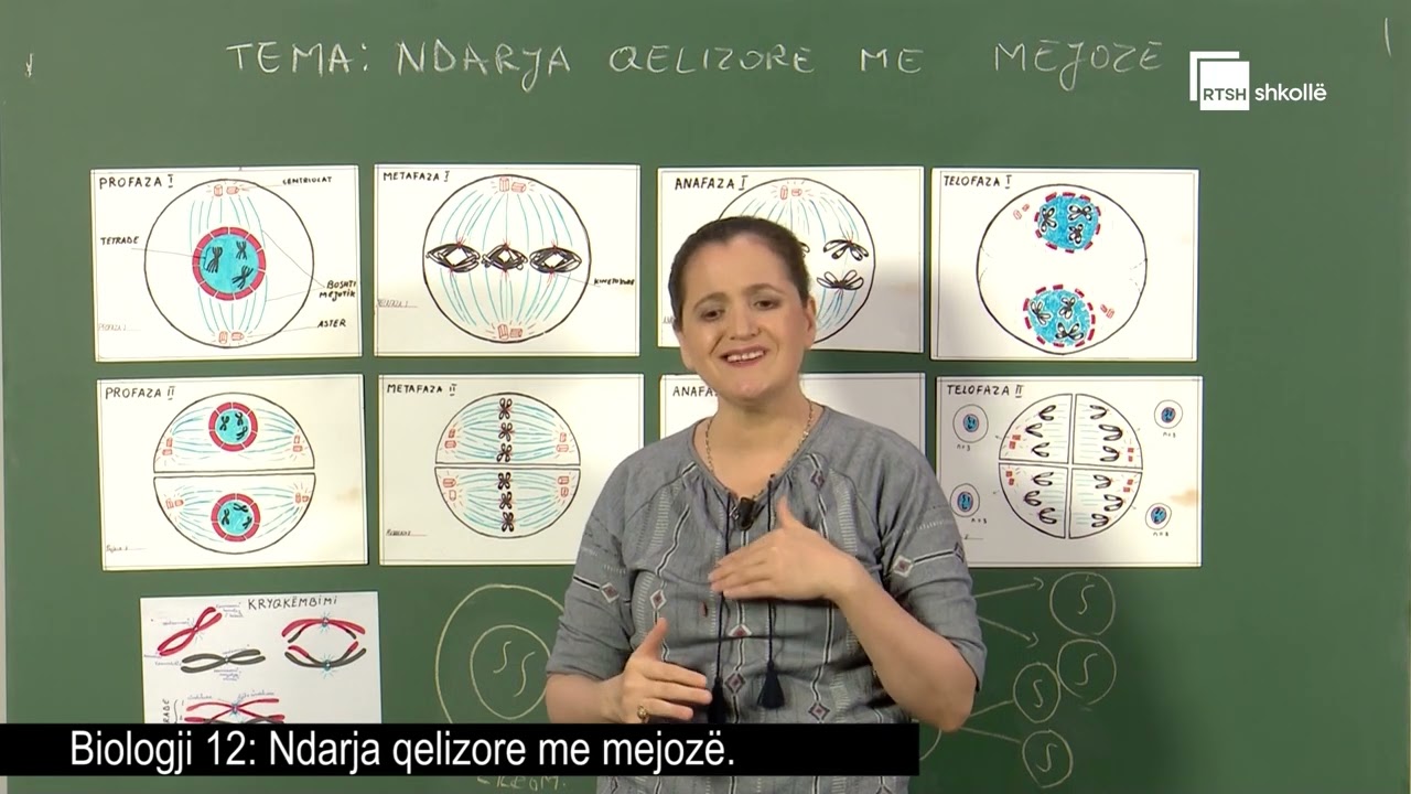 Ndarja qelizore me mejozë| Biologji 12