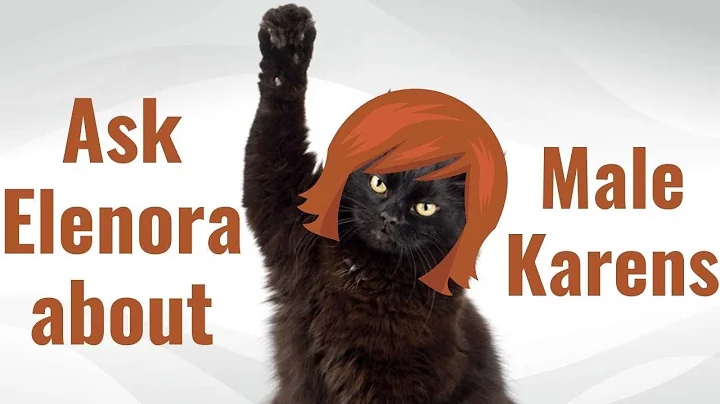 MALE KARENS COMEDYWhat is a Male Karen?Karen in Mi...