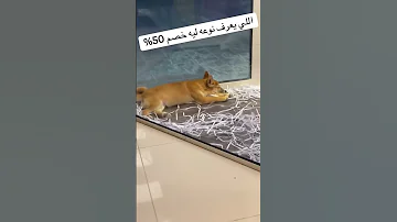 اللي سعرف نوعه ايه ليه خصم 50 
