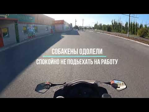 Отпугиватель собак HOONT - YouTube
