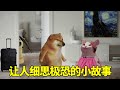小伙晚上睡觉被邻居骚扰,愤怒的过去一看,惊恐的发现邻居的目标竟然是自己!【酸辣土狗丝】#动画#悬疑 #搞笑 #家庭 #大学生