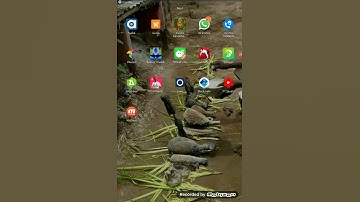 How to extract a blogger template