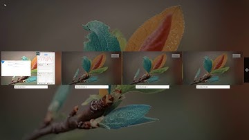 Feren OS 19.03 Run Through