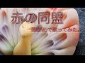 【カラオケ】赤の同盟 男性Ver【東京事変】