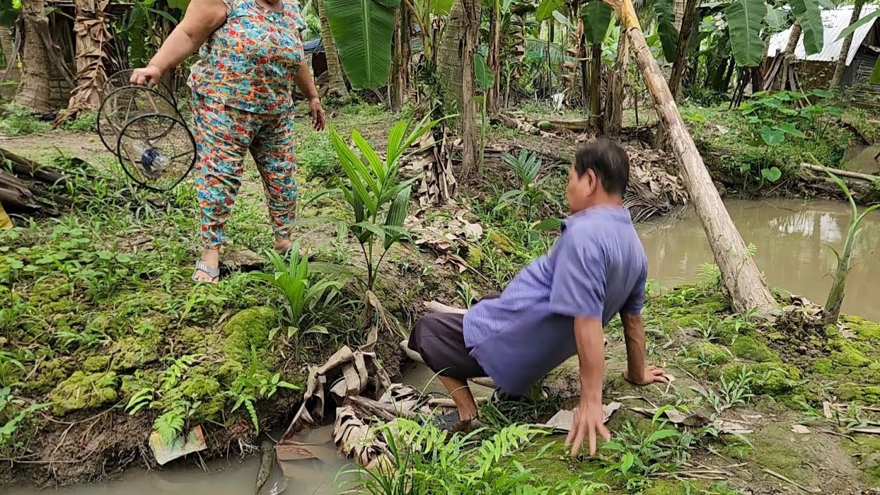 Tai Nạn Bất Ngờ Khi 2 Ông Bà Cùng  Nhau Ra Vườn Thăm Lợp Cá | TKQ & Family T 2142