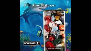 Koi Pet Fish Live Wallpaper screenshot 5