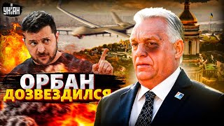 Слушайте! Орбан во всем сознался. Венгерский шрек наговорил себе на трибунал. Венгрия влезла в войну