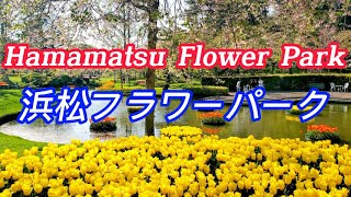 浜松フラワーパーク | Hamamatsu Flower Park | Công viên hoa Hamamatsu Nhật Bản
