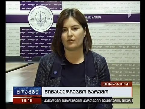 „ყველა პარტიამ დაიცვას კანონი“- „მოამბის“კითხვებს ანა ნაცვლიშვილმა უპასუხა