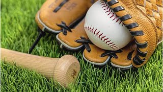 Bushy Run falls short in Region 7 baseball tournament | Trib HSSN | Trib HSSN