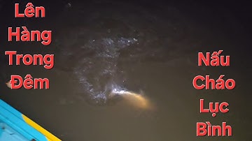 Câu cá sinh tồn qua đêm. Dính con cá bự không ngờ luôn | Săn bắt SÓC TRĂNG |
