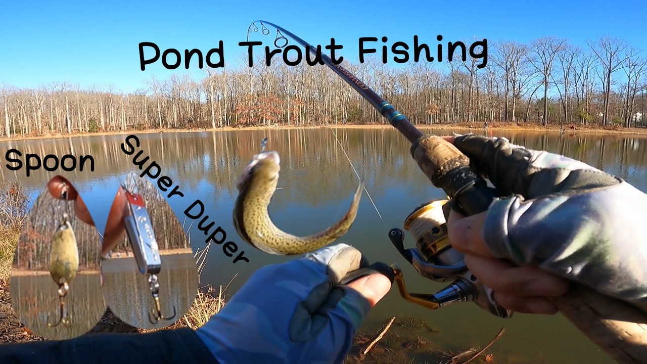 Pond Trout Fishing With Spoon and Super Duper ｜Happy New Year for