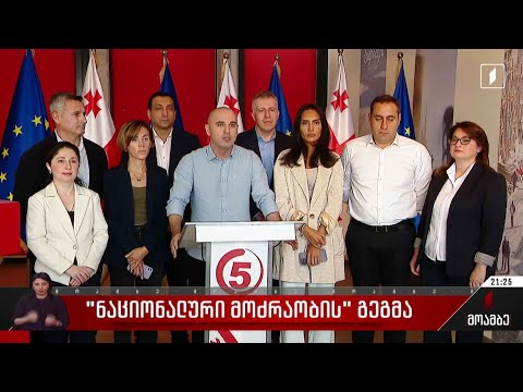 „ნაციონალური მოძრაობის“ გეგმა